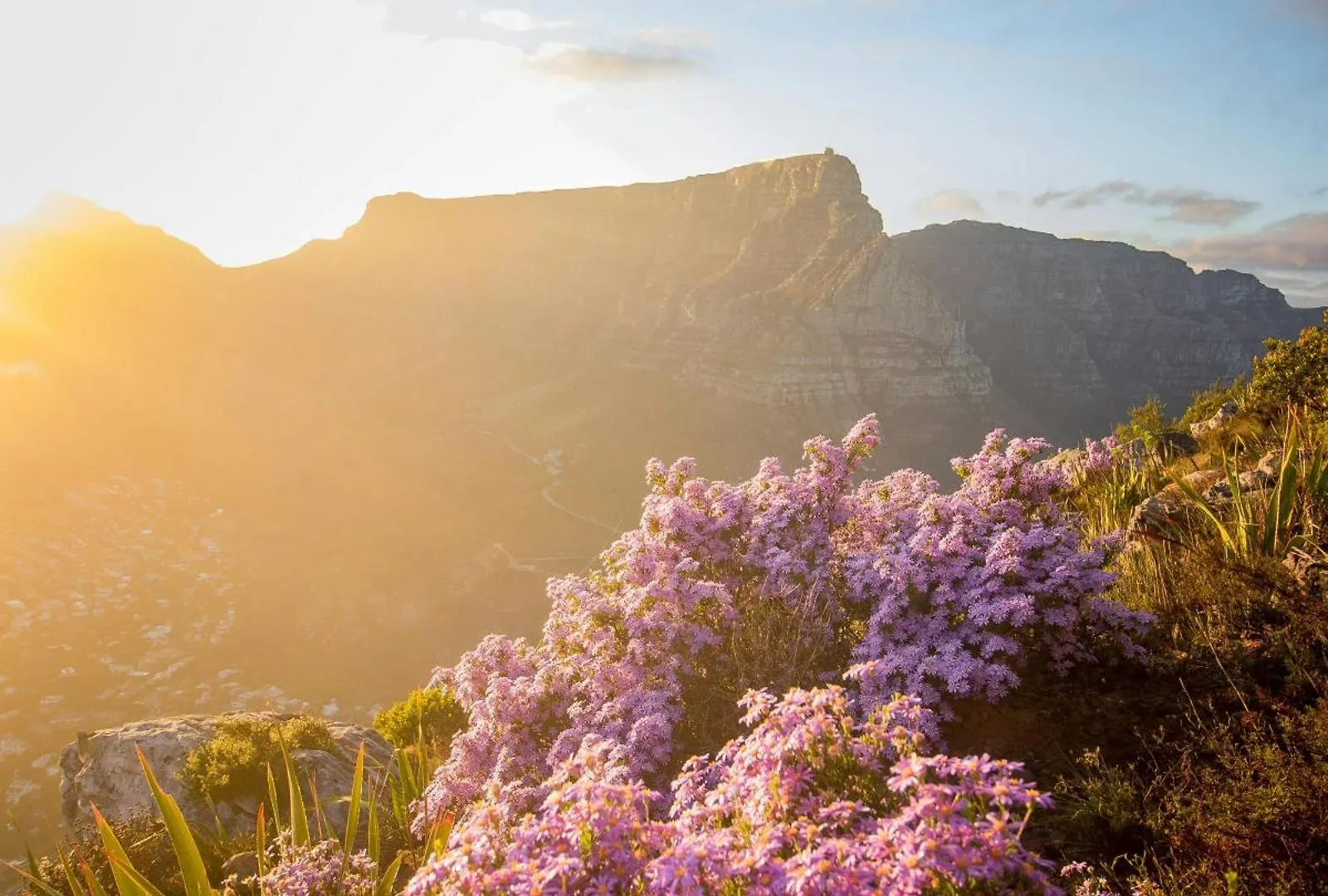 Arc Guest House Cape Town South Africa